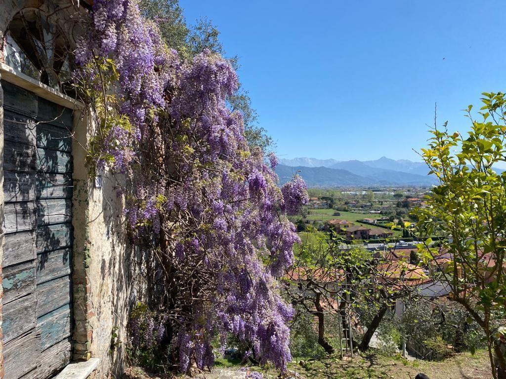 Villino Mare Alpi  | Huizen en villa's - Bocca di Magra / Fiumaretta / Montemarcello/Marinella - Bocca di Magra / Fiumaretta / Marinella / Montemarcello