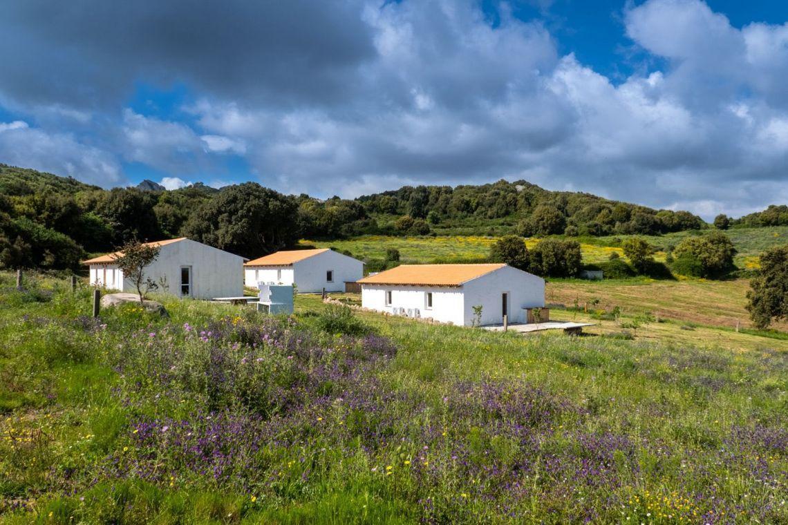 Podere Luogosanto | Wohnungen und Villen - Costa Paradiso Portobello Isola Rossa - Nord Sardegna