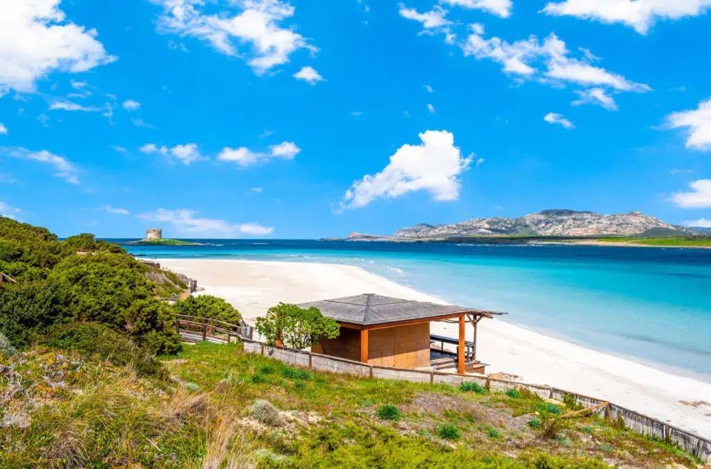 La Villa dei Fenicotteri | Wohnungen und Villen - Alghero & Stintino - Nord Sardegna