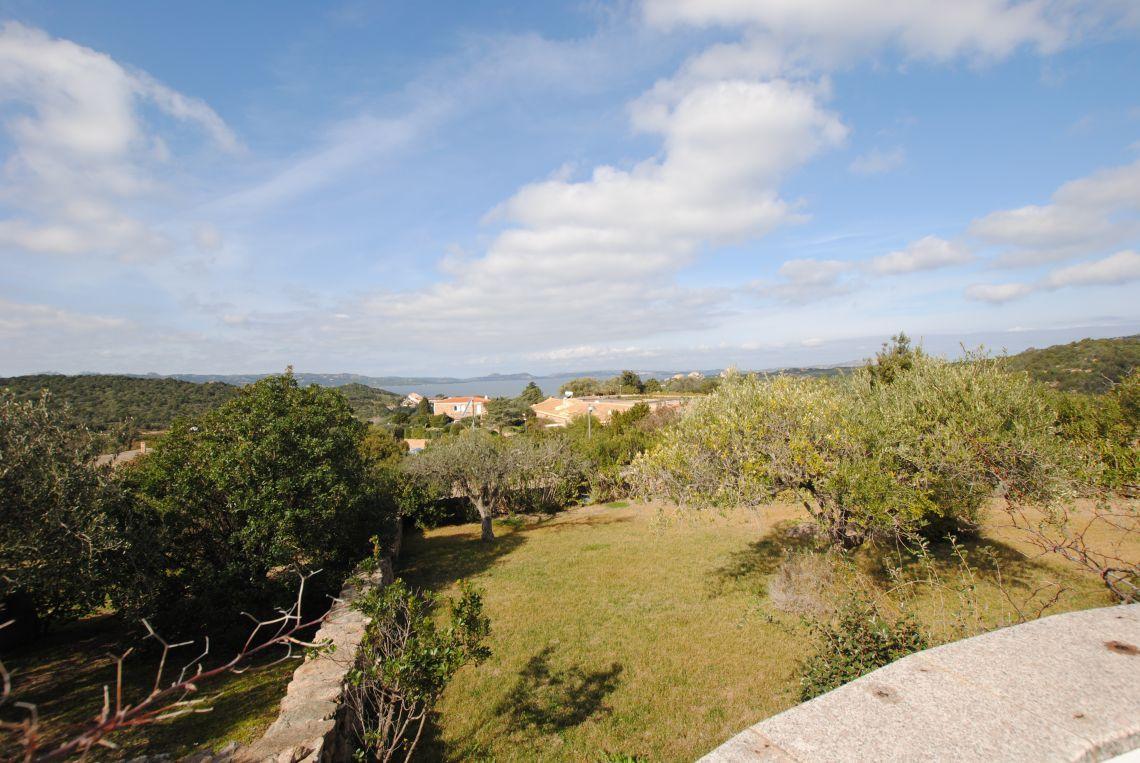 Villa Corallo | Exklusive Häuser & Villen - Baja Sardinia - Costa Smeralda