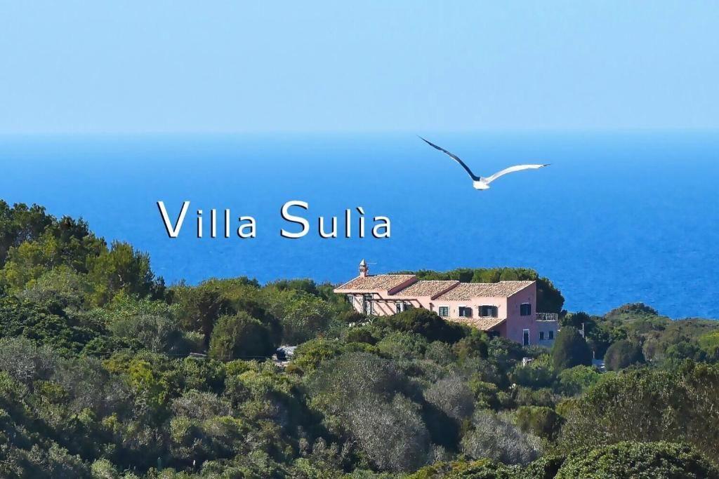 La Tenuta dell Isola di San Pietro