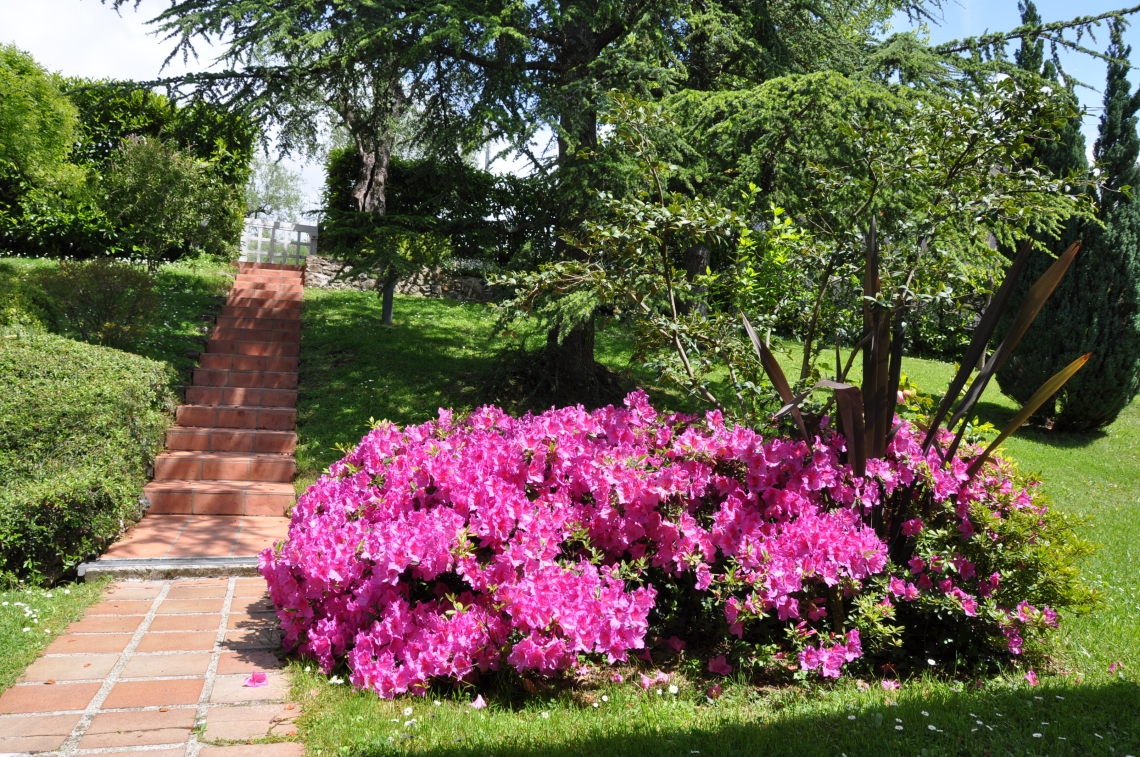 Villa dei Colli | Sarzana & Castelnuovo Magra - Case e ville - Lunigiana mare, Sarzana & Colline del Sole
