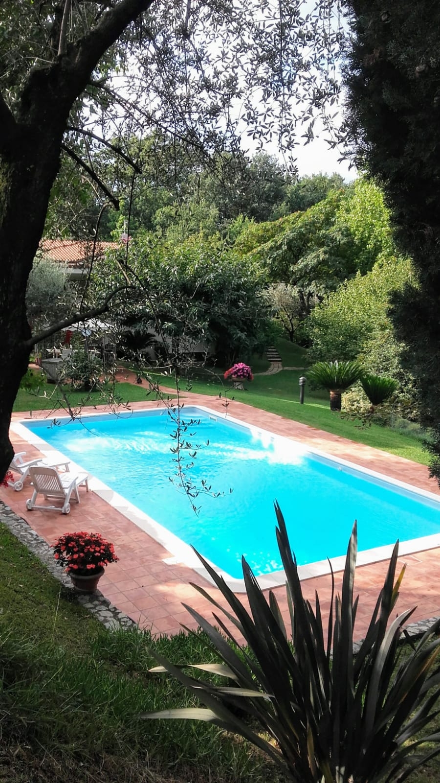 Villa dei Colli | Sarzana & Castelnuovo Magra - Case e ville - Lunigiana mare, Sarzana & Colline del Sole