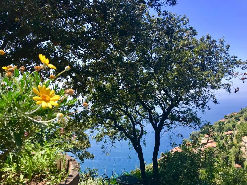 Antico Casale del Mare  | Riomaggiore & Manarola - Casali & Rustici - 5 Terre