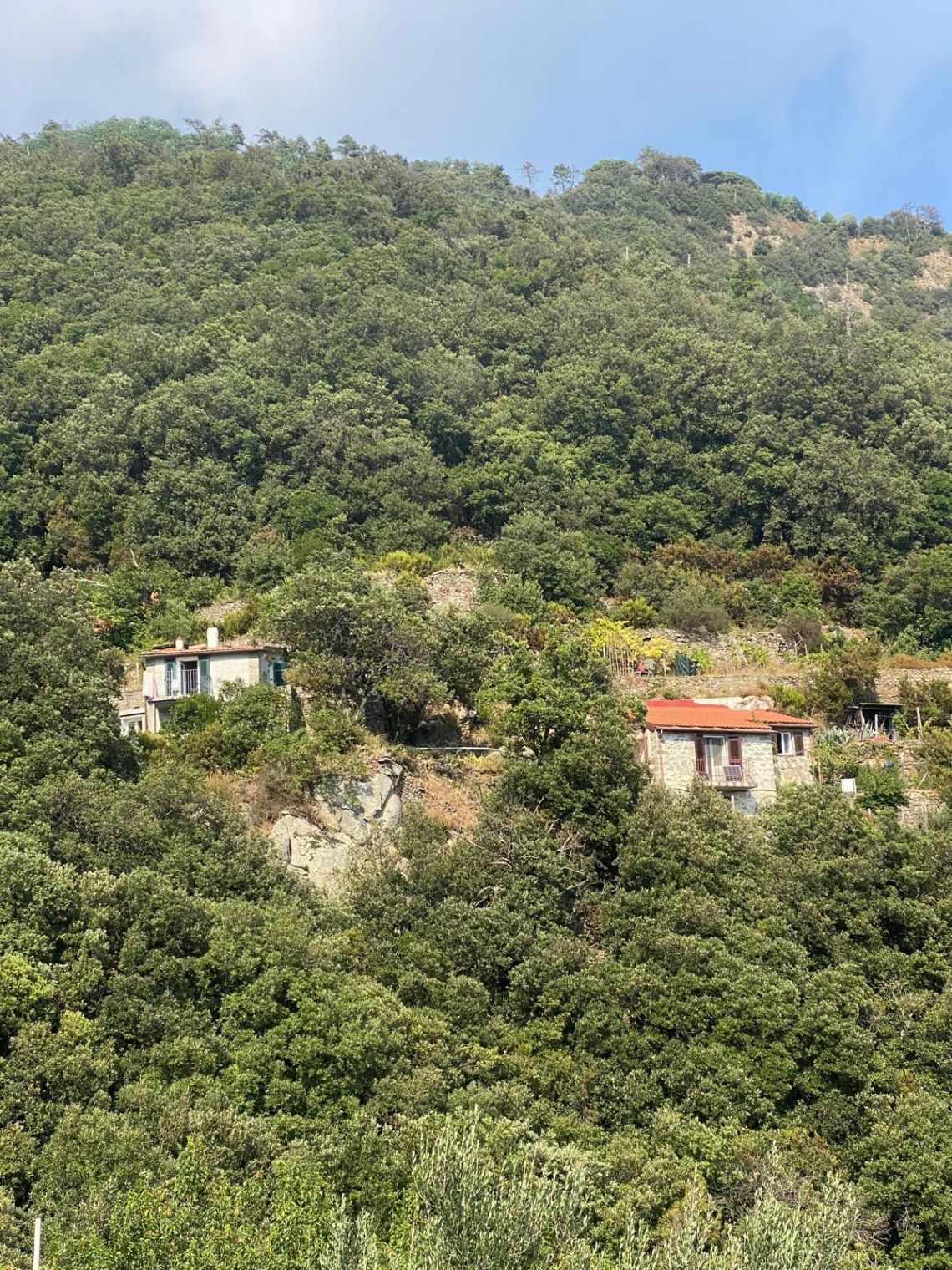 Antico Casale del Mare  | Riomaggiore & Manarola - Casali & Rustici - 5 Terre