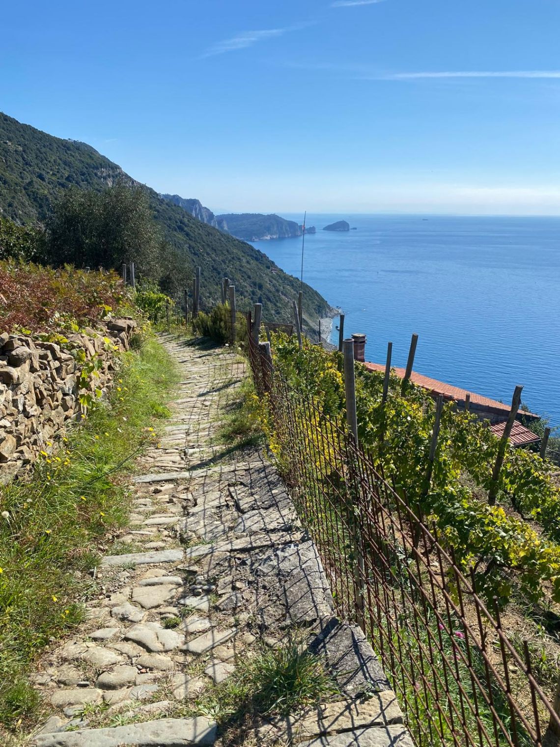 Antico Casale del Mare  | Riomaggiore & Manarola - Casali & Rustici - 5 Terre