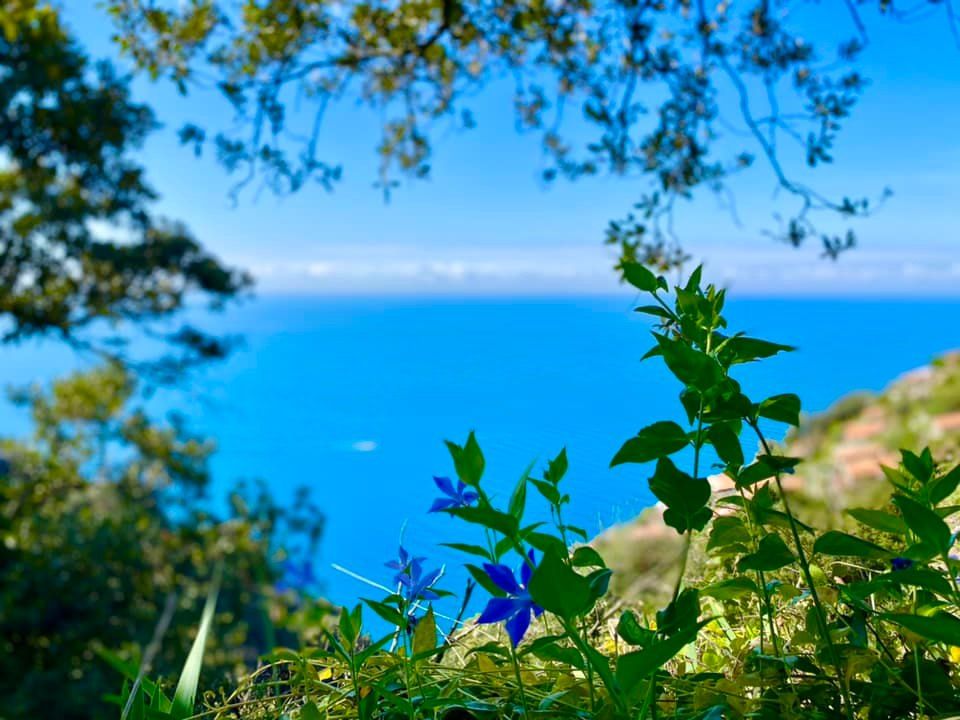 Antico Casale del Mare  | Riomaggiore & Manarola - Casali & Rustici - 5 Terre