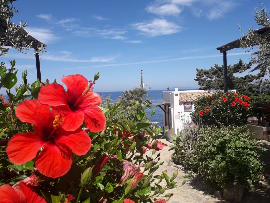 La Casa delle Orchidee | Favignana/Levanzo/Marettimo - Апартаменты - Isole della Sicilia