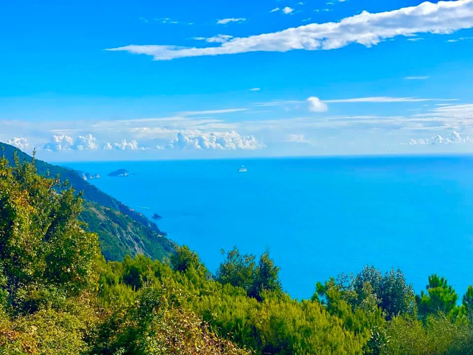 Il Rustico della Madonnina | Riomaggiore & Manarola - Casali & Rustici - 5 Terre