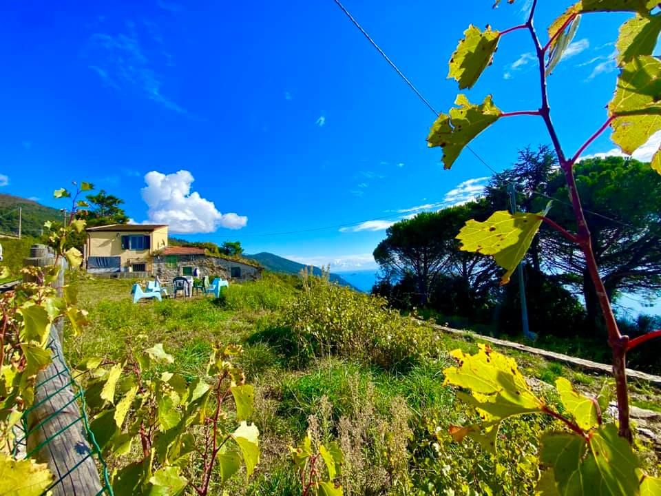Il Rustico della Madonnina | Riomaggiore & Manarola - Casali & Rustici - 5 Terre