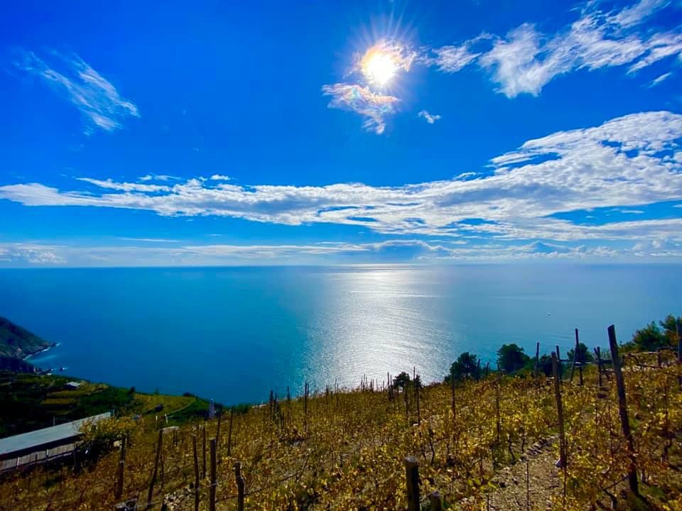 Il Rustico della Madonnina | Riomaggiore & Manarola - Casali & Rustici - 5 Terre
