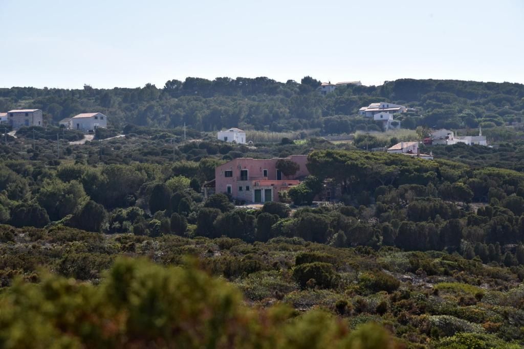 La Tenuta dell Isola di San Pietro
