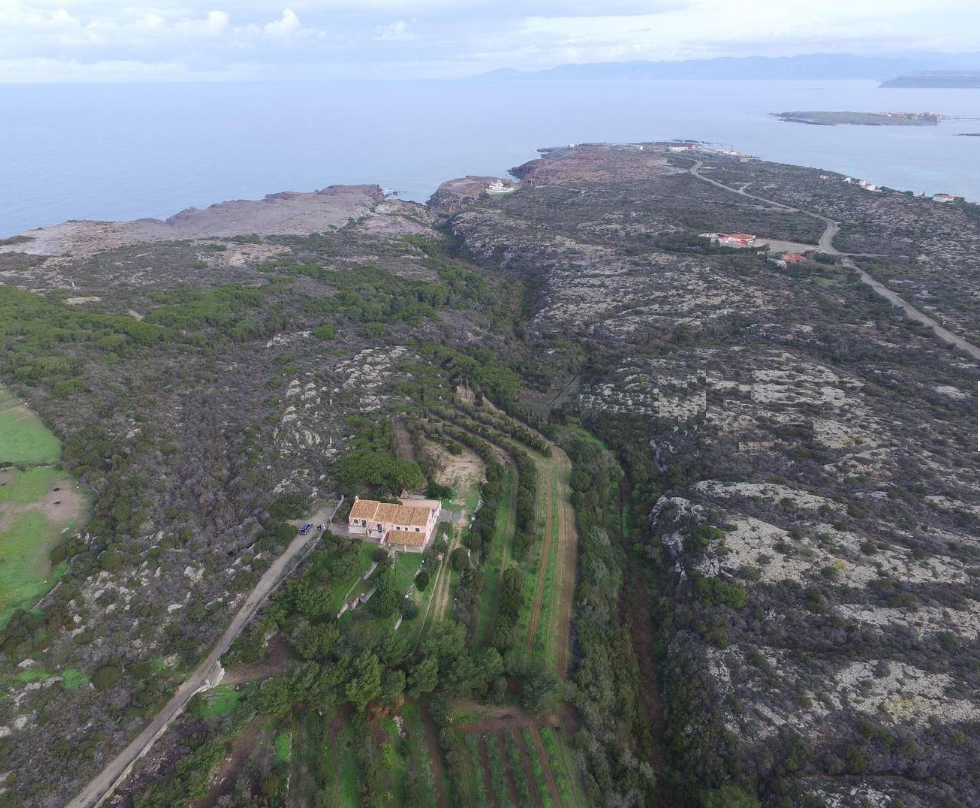 La Tenuta dell Isola di San Pietro