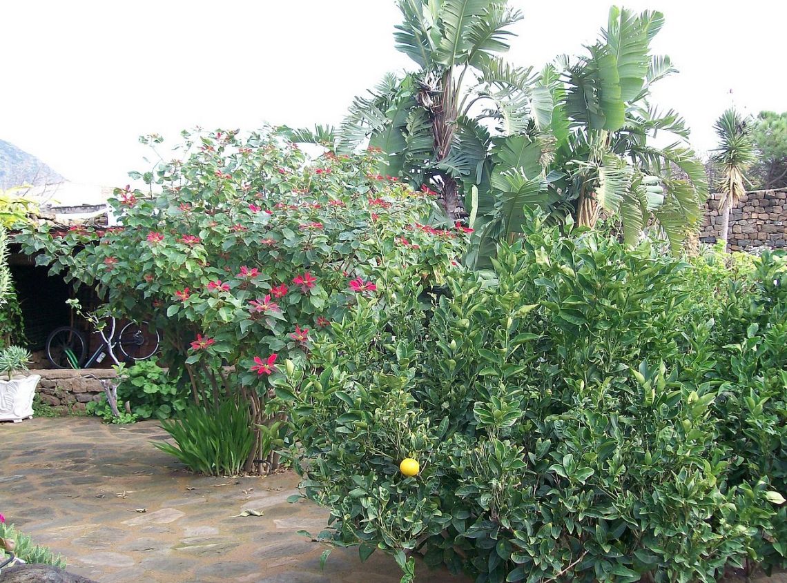 L' Antica Tenuta Pantesca
