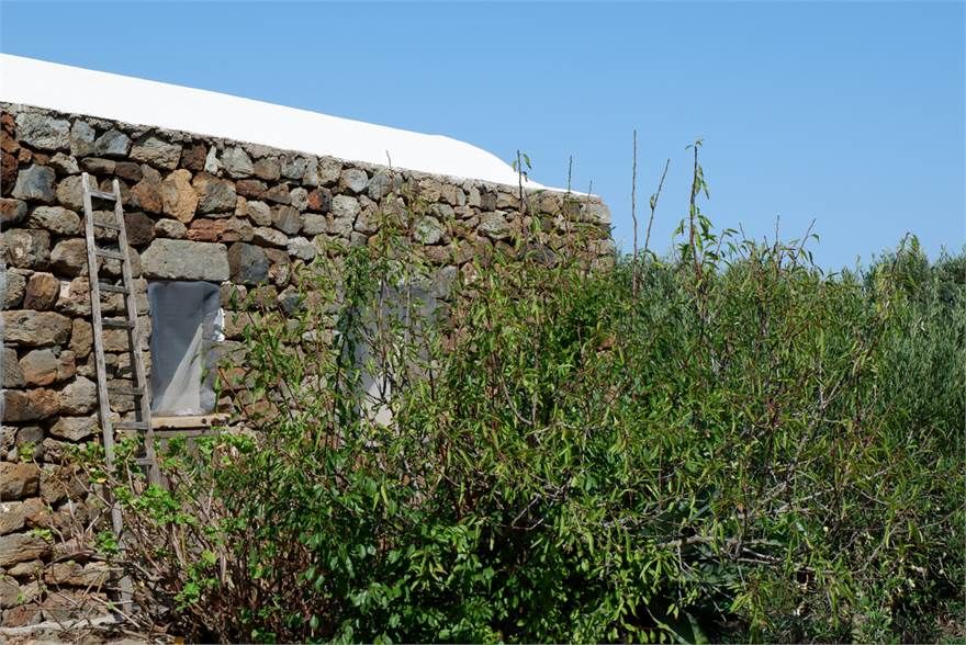 La Dolce Dimora del Barone | Pantelleria - Частные дома и виллы - Isole della Sicilia