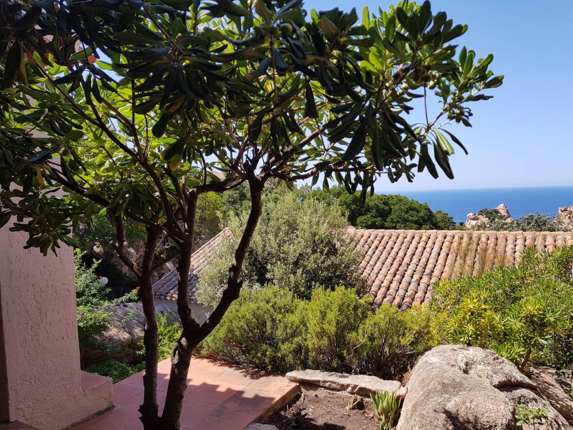 Villa Oasi Paradiso | Costa Paradiso & Portobello - Houses and Villas - Nord Sardegna