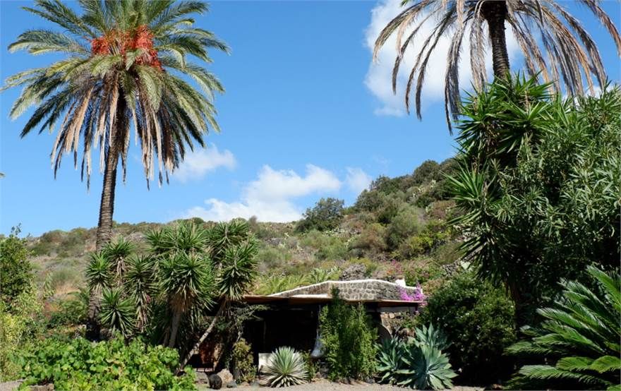 Il Dammuso della Yucca Gloriosa | Pantelleria - Частные дома и виллы - Isole della Sicilia
