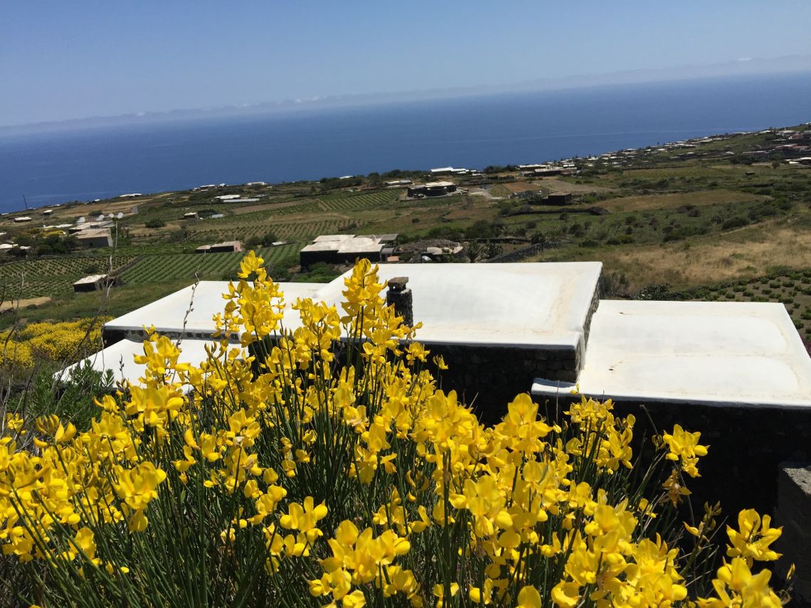 Dammuso l'Isola nell' Isola | Pantelleria - Частные дома и виллы - Isole della Sicilia