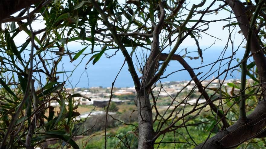 Dammuso Kharebi | Pantelleria - Частные дома и виллы - Isole della Sicilia