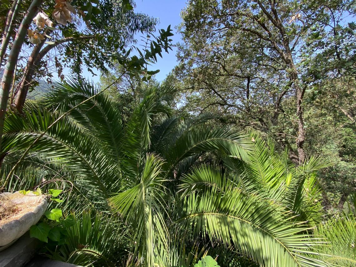 Villa Miro' | Дейва Марина - Частные дома и виллы - Бае дель Леванте