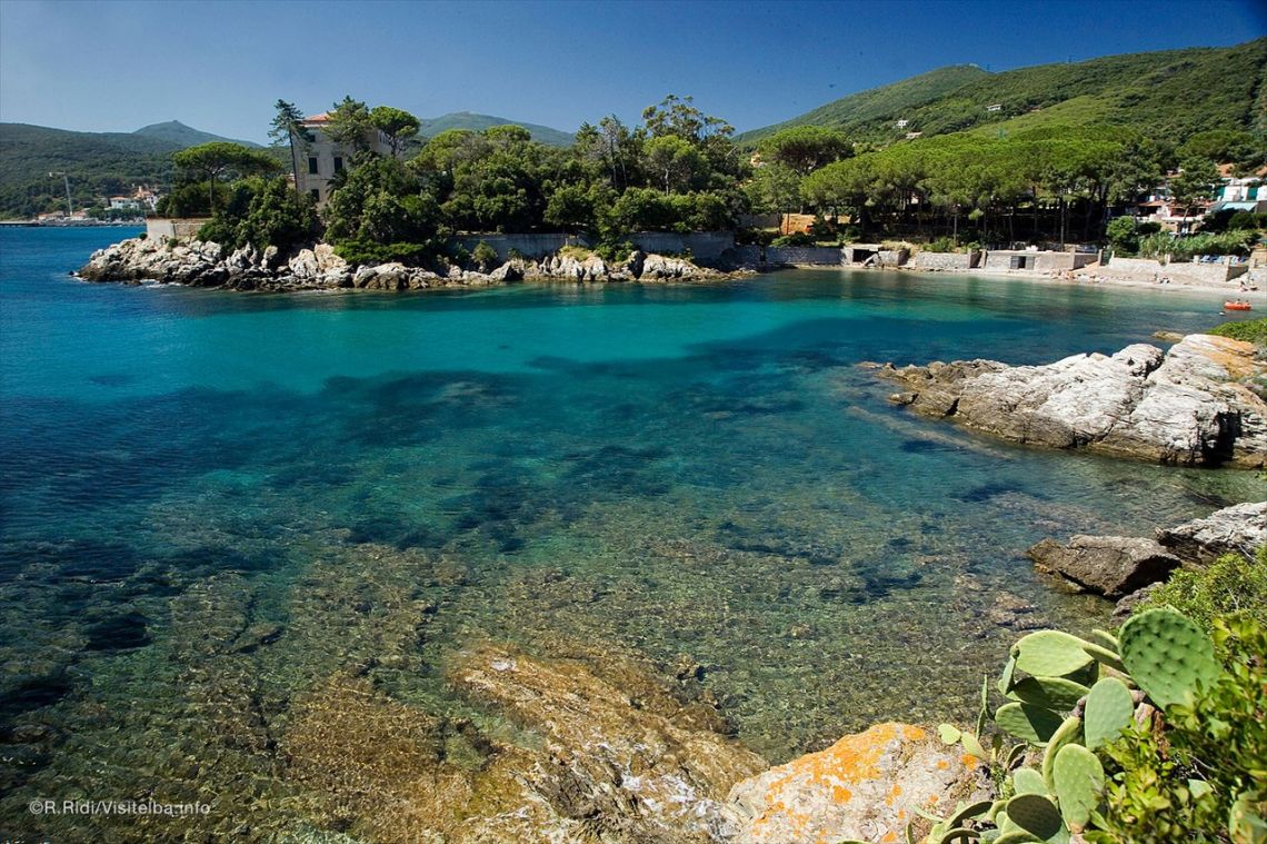 Appartamento Ginestre | Isola d' Elba - Appartamenti - Isola d'Elba