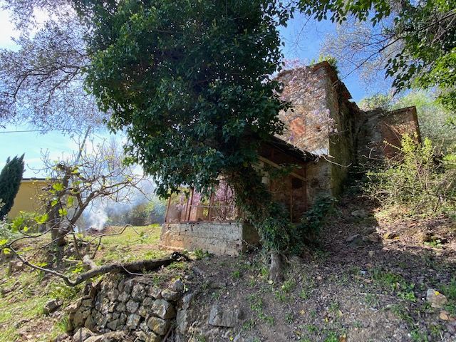 Villino Mare Alpi  | Bocca di Magra / Fiumaretta / Montemarcello/Marinella - Huizen en villa's - Bocca di Magra / Fiumaretta / Marinella / Montemarcello