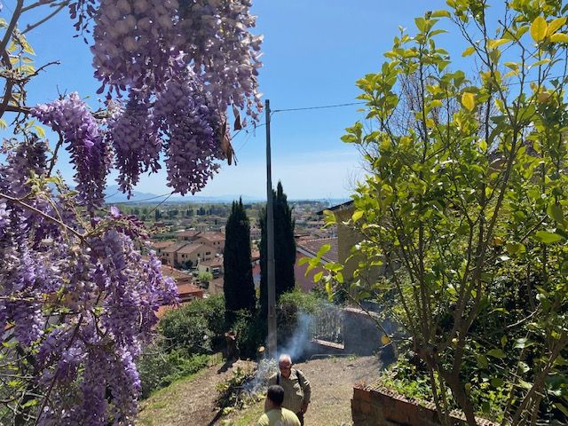 Villino Mare Alpi  | Bocca di Magra / Fiumaretta / Montemarcello/Marinella - Huizen en villa's - Bocca di Magra / Fiumaretta / Marinella / Montemarcello