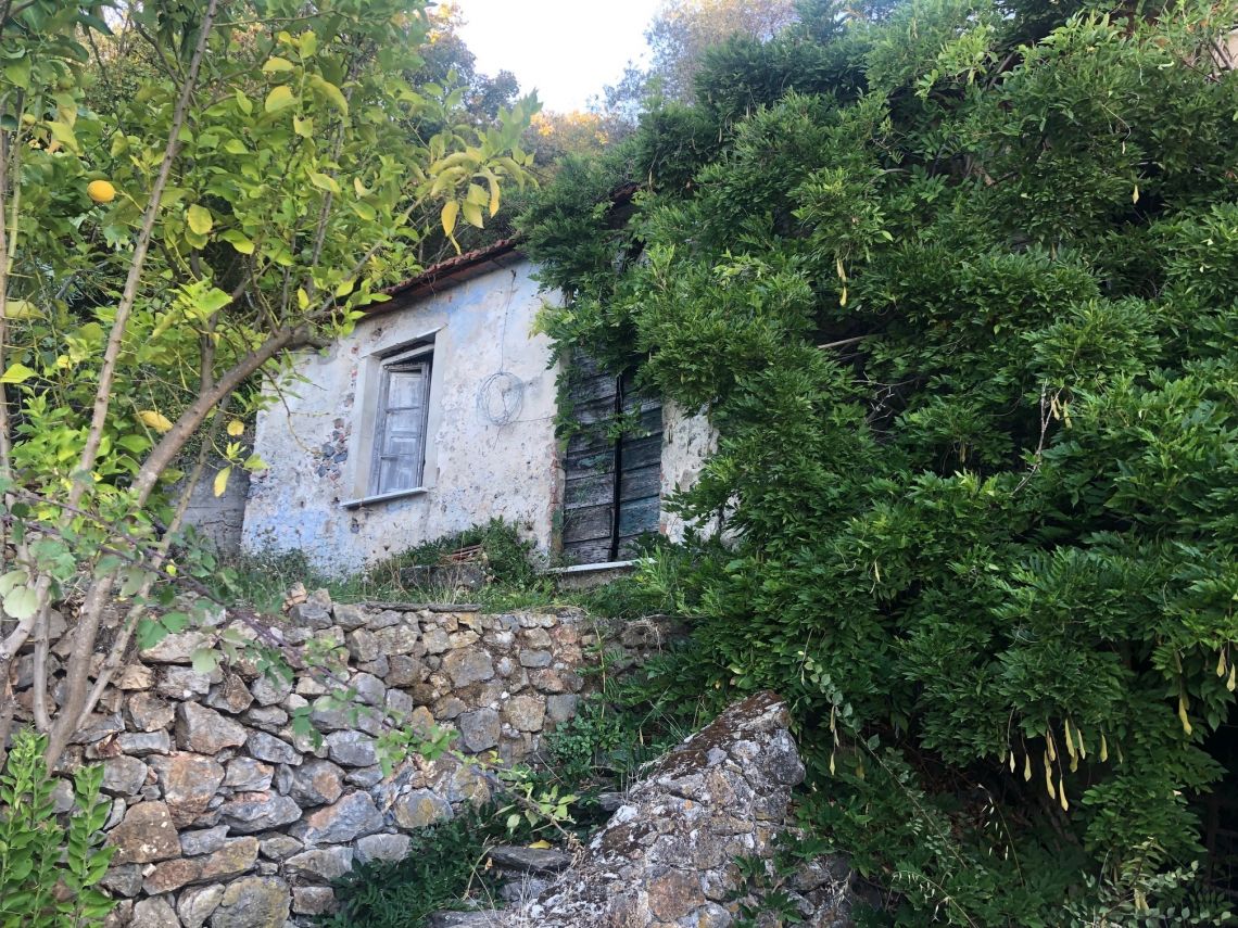 Villino Mare Alpi  | Bocca di Magra / Fiumaretta / Montemarcello/Marinella - Huizen en villa's - Bocca di Magra / Fiumaretta / Marinella / Montemarcello