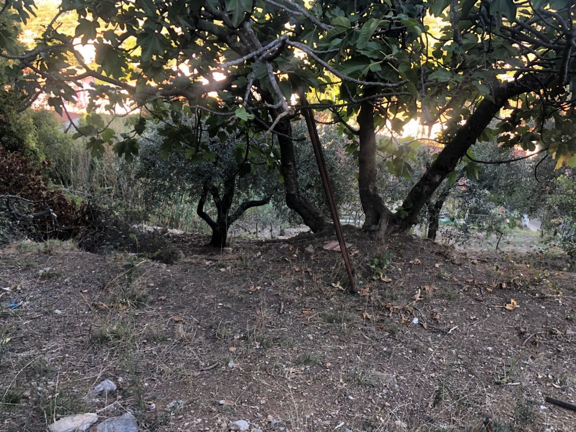 Villino Mare Alpi  | Bocca di Magra / Fiumaretta / Montemarcello/Marinella - Huizen en villa's - Bocca di Magra / Fiumaretta / Marinella / Montemarcello