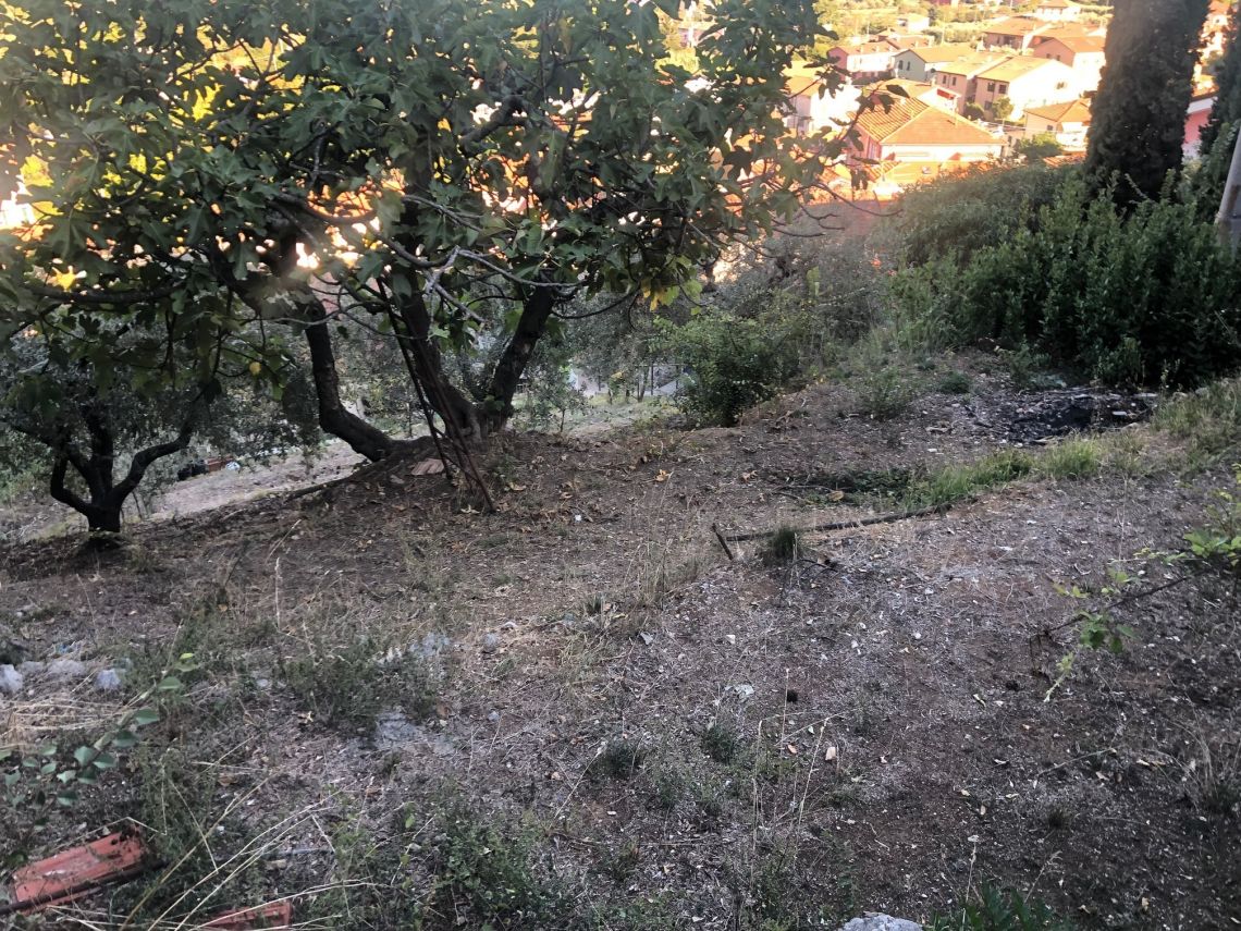 Villino Mare Alpi  | Bocca di Magra / Fiumaretta / Montemarcello/Marinella - Huizen en villa's - Bocca di Magra / Fiumaretta / Marinella / Montemarcello