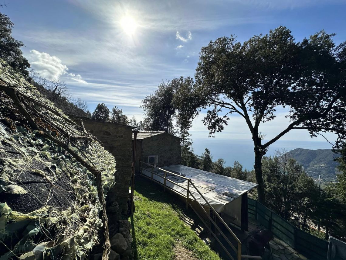Il Rustico del Santuario | Monterosso al mare - Huizen en villa's - 5 Terre