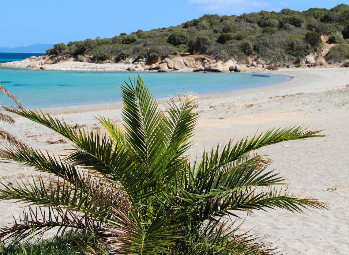 Appartamento Fronte Mare Iglesiente | Isole Sant' Antioco e San Pietro - Appartamenti - Sardegna del Sud