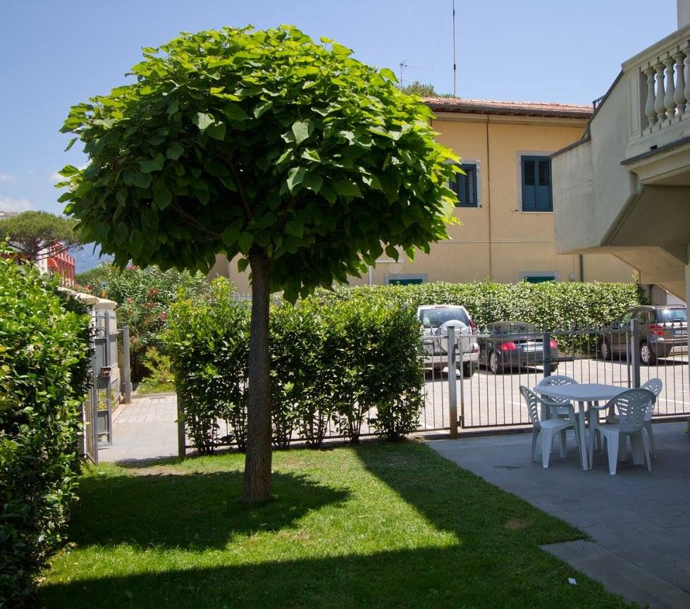 La Versilia Fronte Mare  | Marina di Pietrasanta - Appartamenti - Versilia