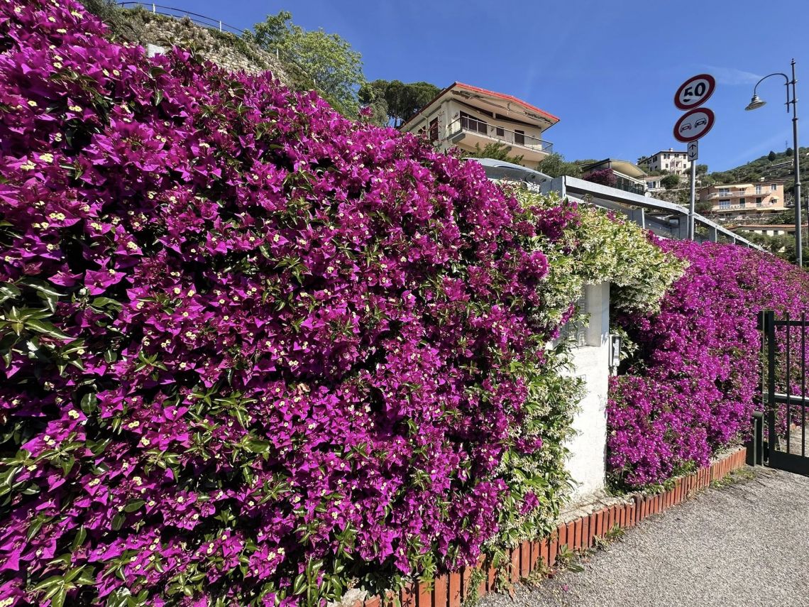 Villa  Le Terrazze sul Mare | Rapallo / Santa Margherita Ligure / Portofino - Case e ville - Golfo del Tigullio