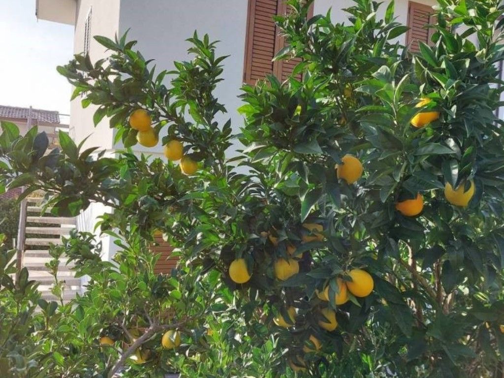 Casa Muggia | Lignano Sabbiadoro/Bibione - Case e ville - Costa del Friuli Venezia Giulia