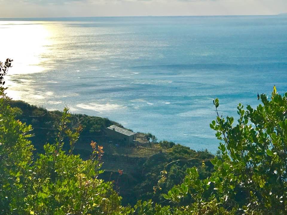 Rustico Paradiso | Riomaggiore @Manarola - Casali & Bed & Breakfast - 5 Terre