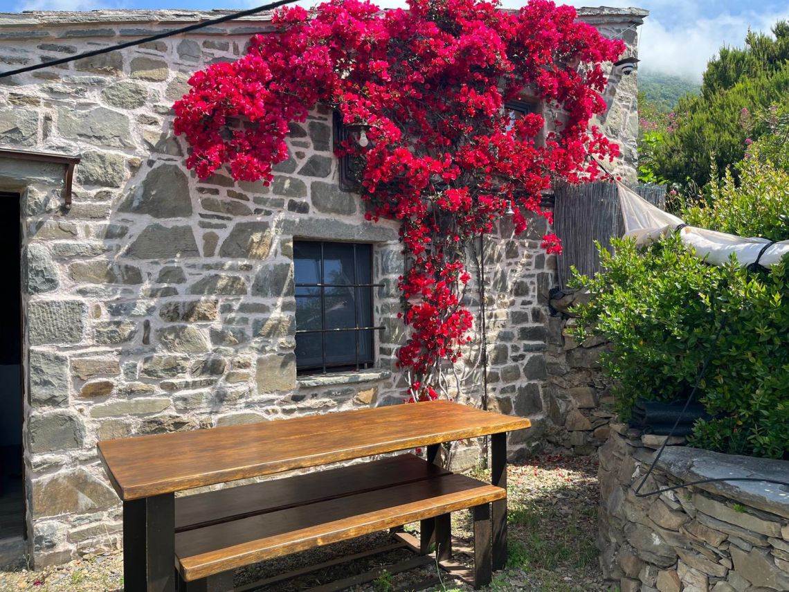 Rustico Paradiso | Riomaggiore @ Manarola - Farm Houses & Bed & Breakfast - 5 Terre