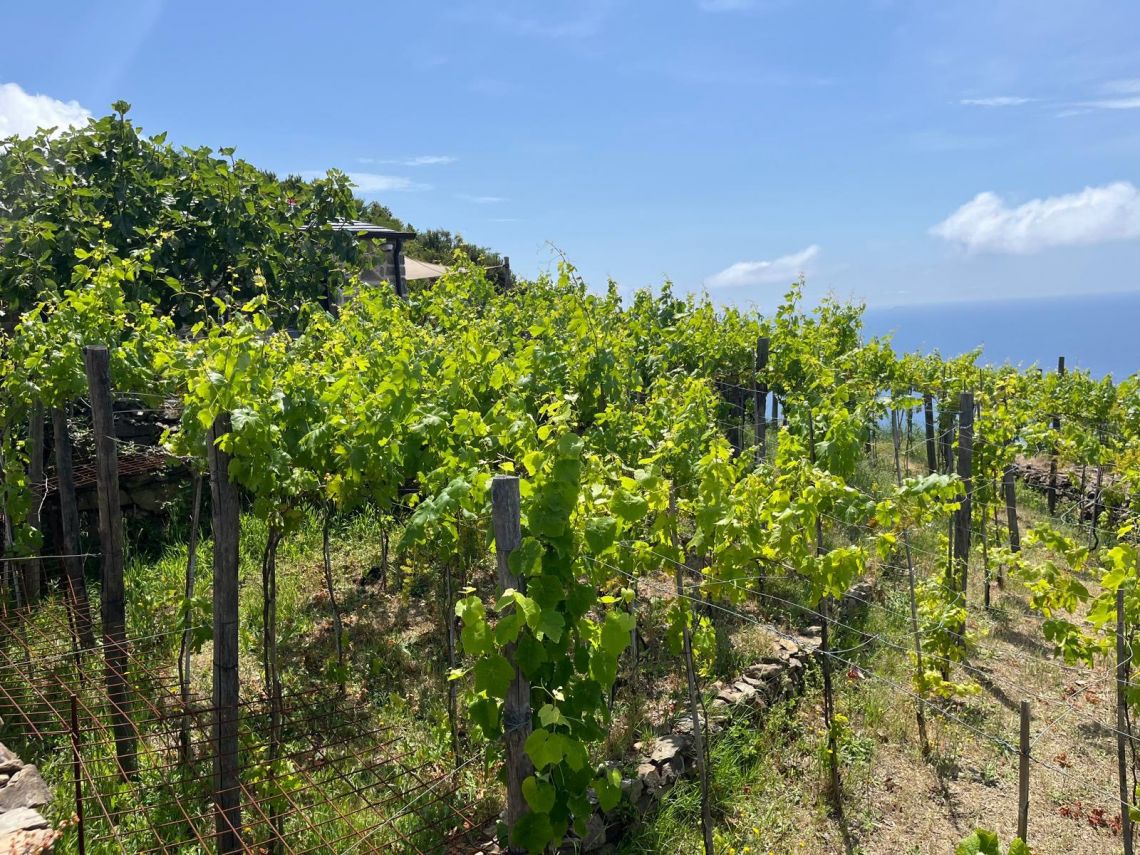 Rustico Paradiso | Riomaggiore @ Manarola - Farm Houses & Bed & Breakfast - 5 Terre