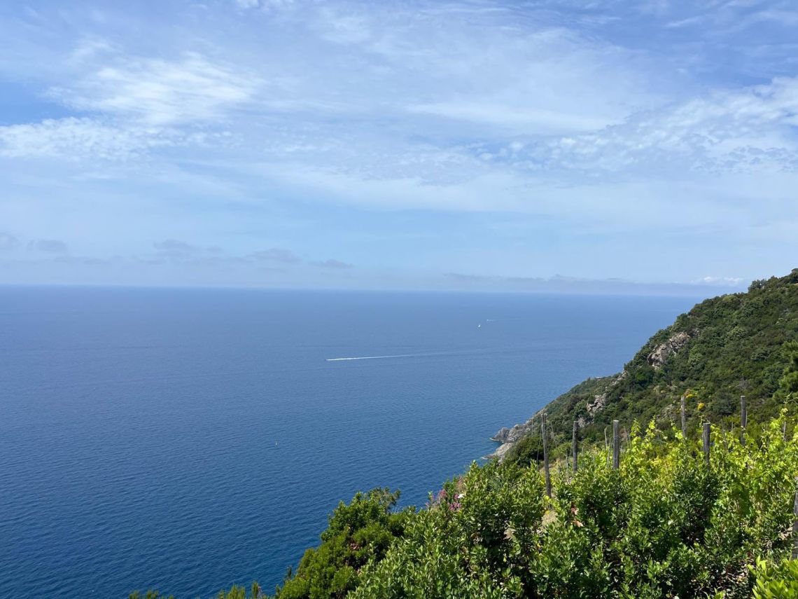 Rustico Paradiso | Riomaggiore @ Manarola - Farm Houses & Bed & Breakfast - 5 Terre
