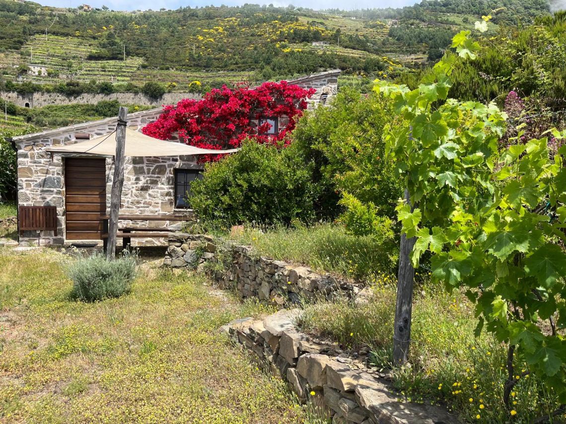 Rustico Paradiso | Riomaggiore @ Manarola - Farm Houses & Bed & Breakfast - 5 Terre