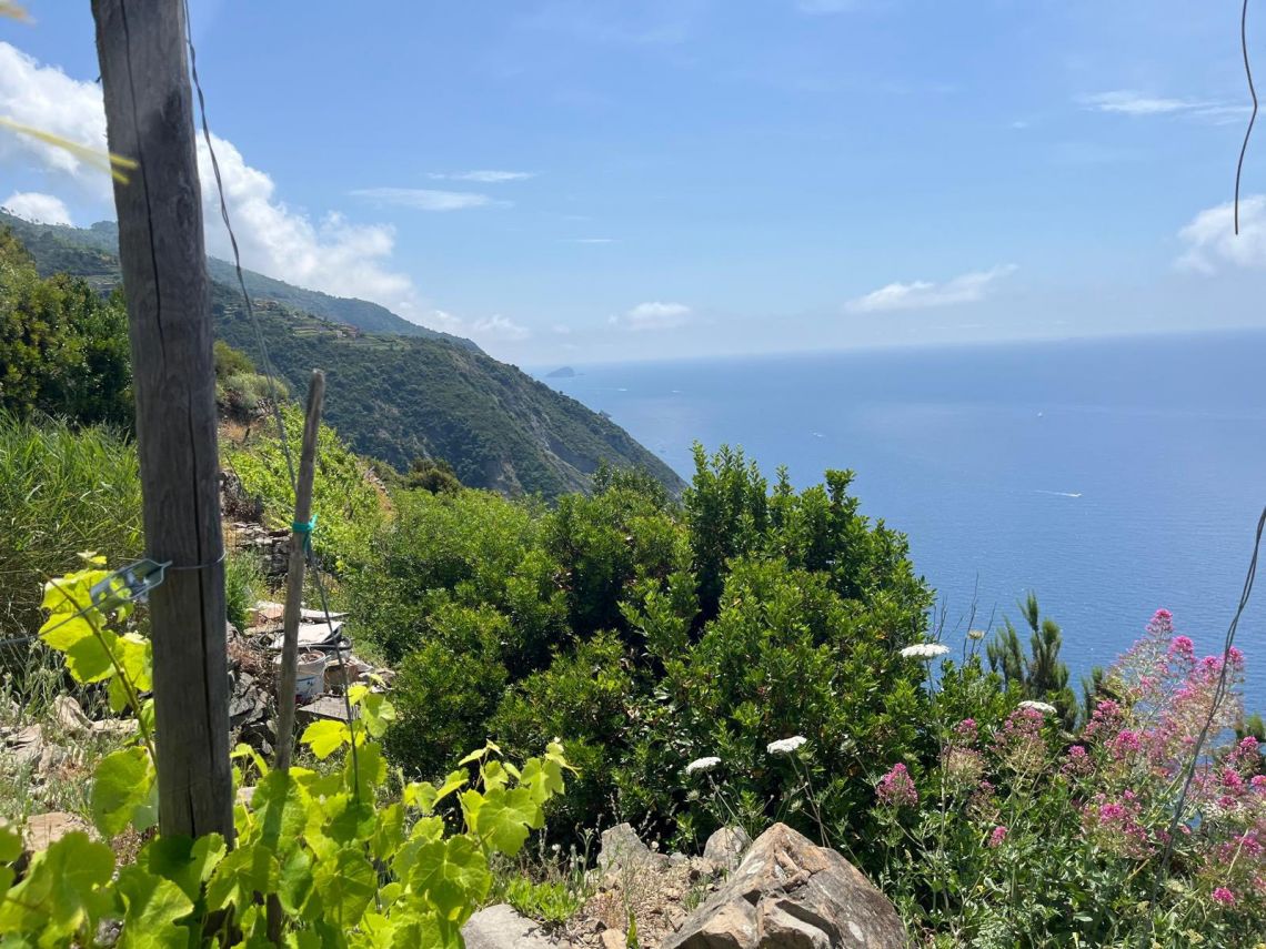 Rustico Paradiso | Riomaggiore @ Manarola - Farm Houses & Bed & Breakfast - 5 Terre