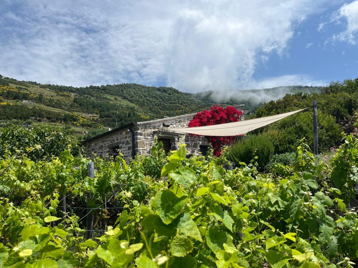 Rustico Paradiso | Riomaggiore @ Manarola - Farm Houses & Bed & Breakfast - 5 Terre