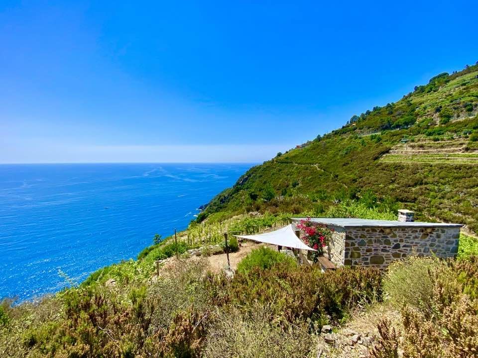 Rustico Paradiso | Riomaggiore @ Manarola - Farm Houses & Bed & Breakfast - 5 Terre