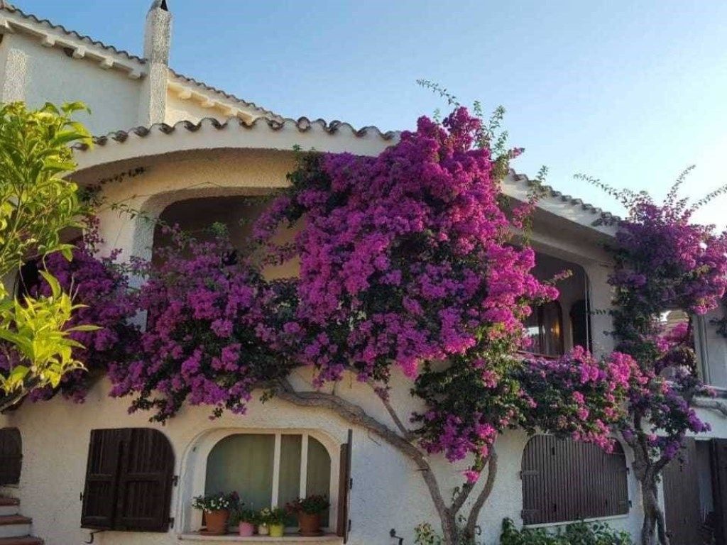 Villa Siniscola | Siniscola - Частные дома и виллы - Sardegna Orientale