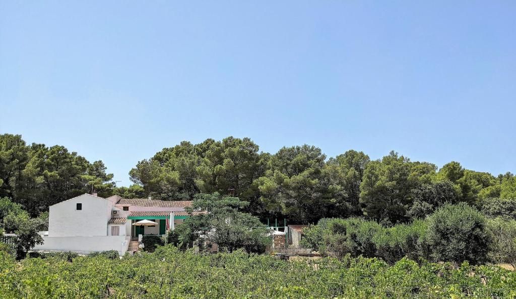 Tenuta Cala Vinagra | Isole Sant' Antioco e San Pietro - Case e ville - Sardegna del Sud