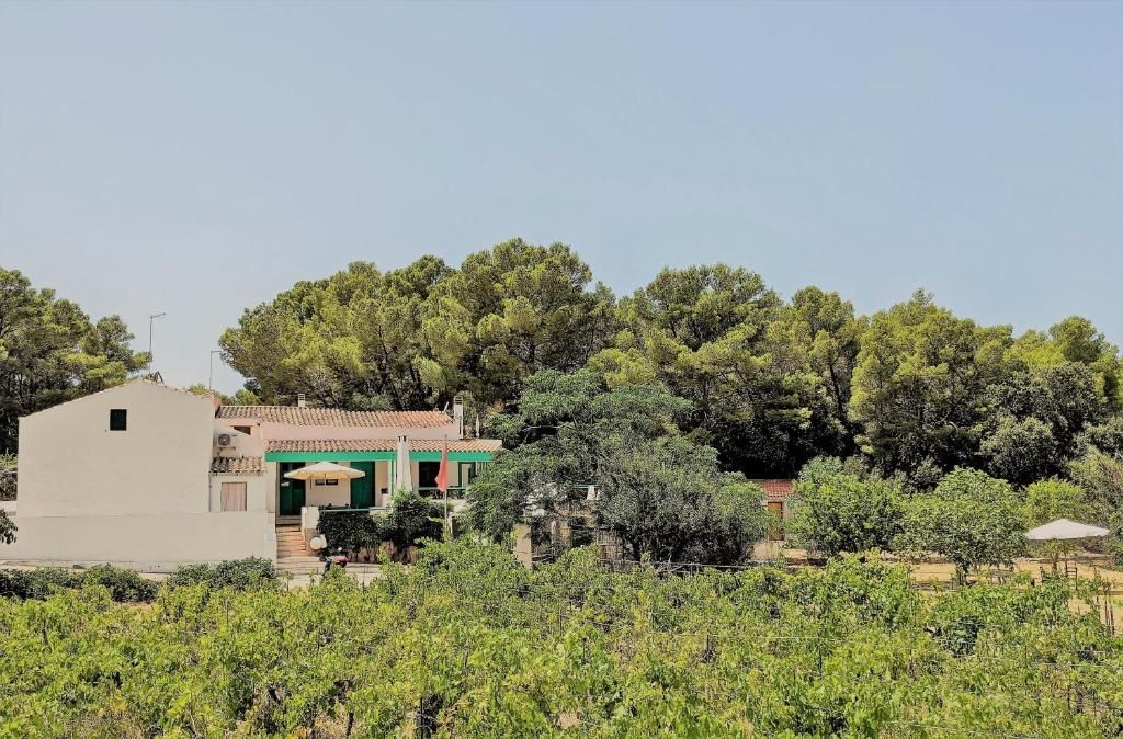 Tenuta Cala Vinagra | Isole Sant' Antioco e San Pietro - Case e ville - Sardegna del Sud