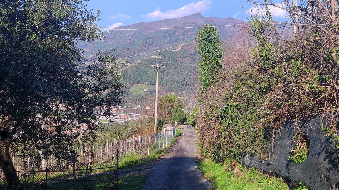 Il Rustico nel Colle | Marina di Pietrasanta - Casali & Rustici - Versilia