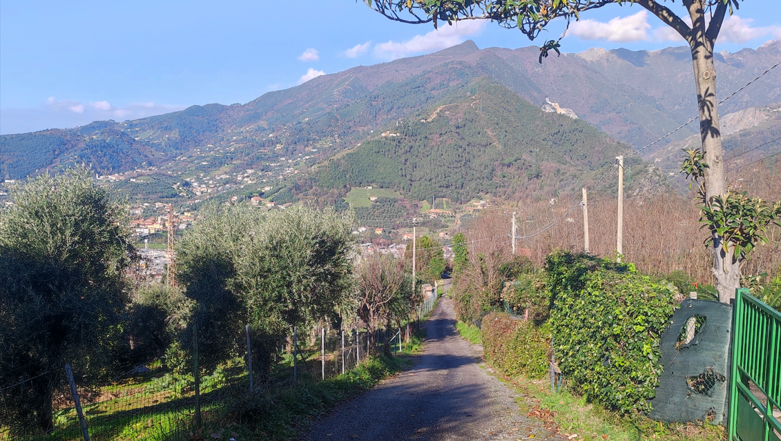 Il Rustico nel Colle | Marina di Pietrasanta - Casali & Rustici - Versilia