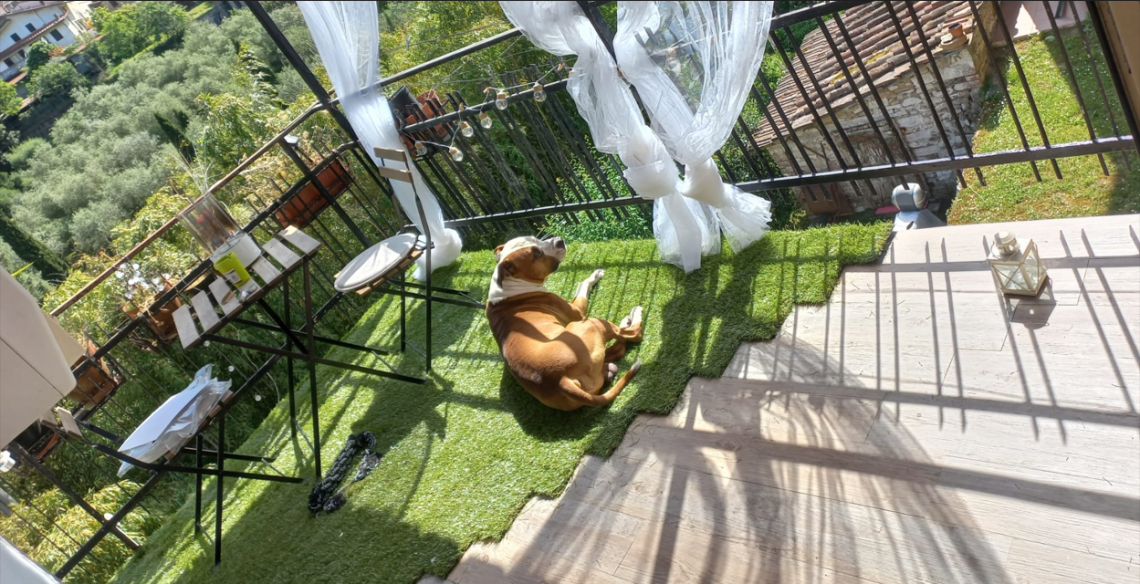 Appartamento Vallecchia | Marina di Pietrasanta - Appartamenti - Versilia