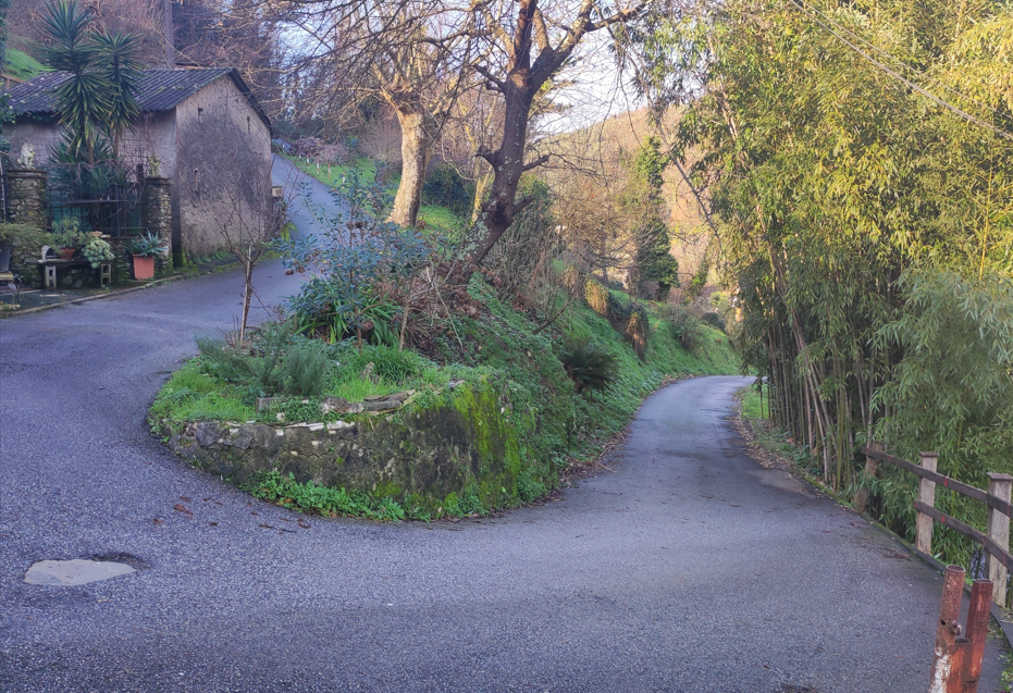 Appartamento Vallecchia | Marina di Pietrasanta - Appartamenti - Versilia